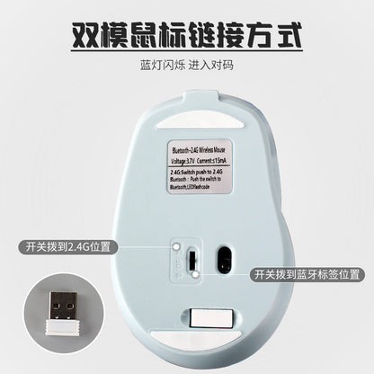 Duorove – Underside of a light blue wireless mouse showing 2.4G and Bluetooth switch, label and USB receiver
