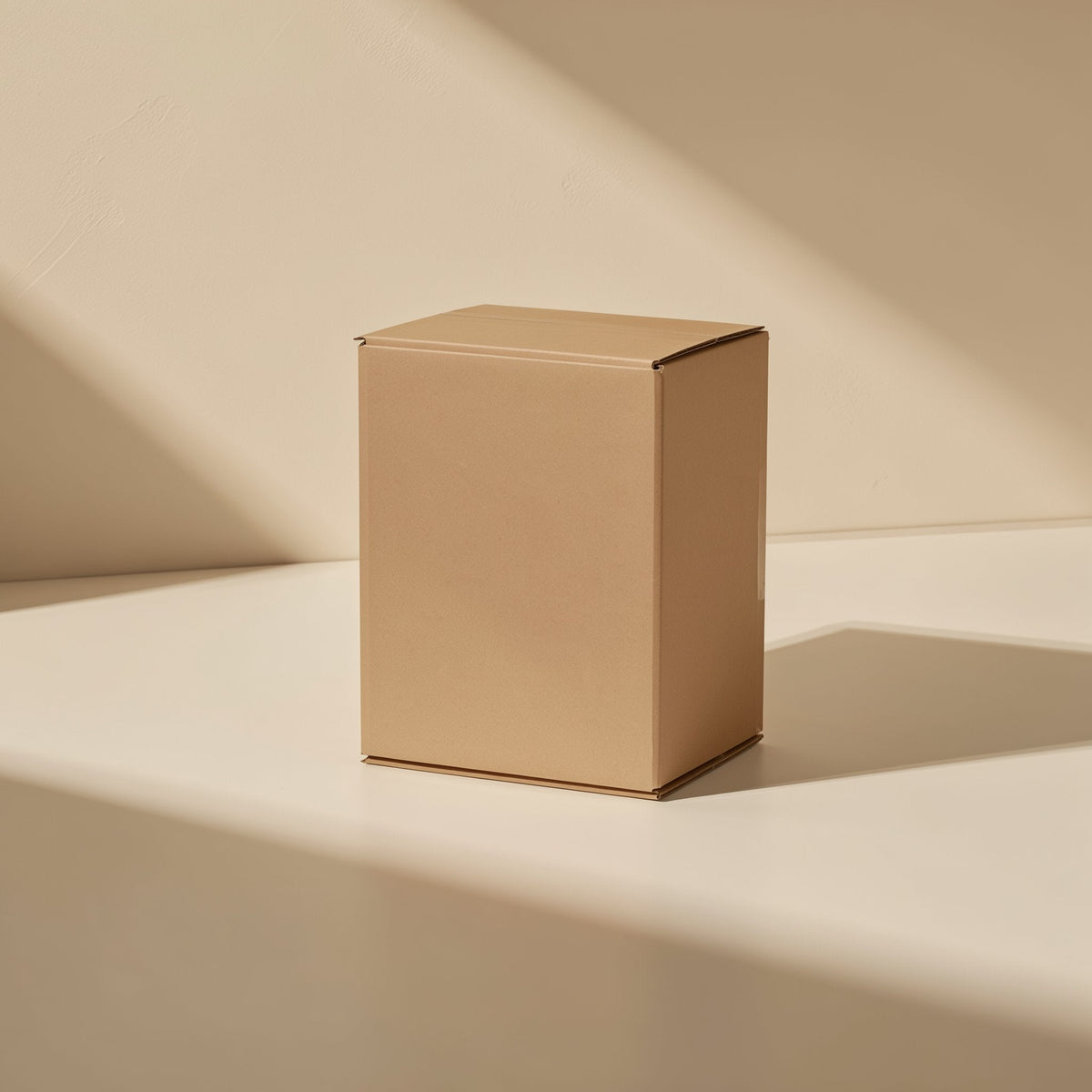 Gigabraid – Plain kraft cardboard box standing upright in soft diagonal sunlight on a cream surface