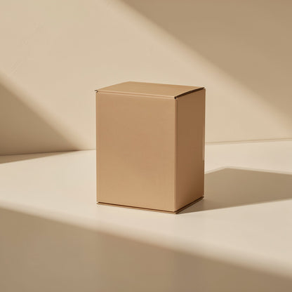 Gigabraid – Plain kraft cardboard box standing upright in soft diagonal sunlight on a cream surface