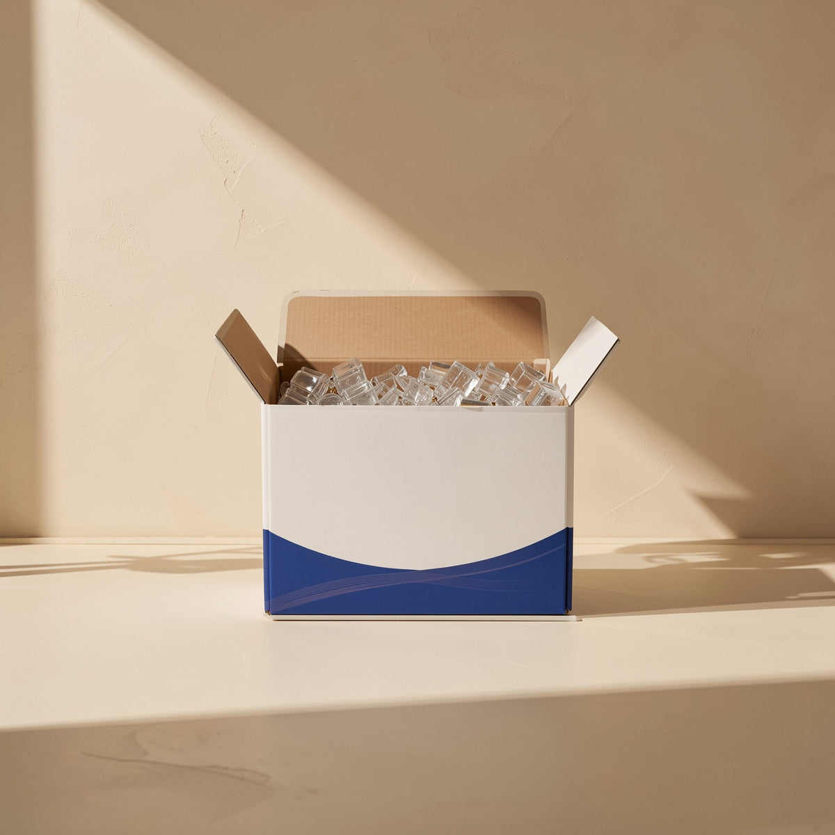 Pinjoin CAT6 RJ45 Crystal Head Connector – open white and blue cardboard box filled with clear RJ45 connectors