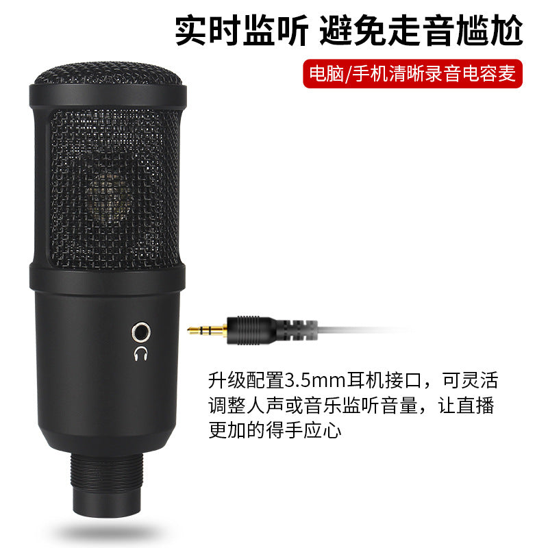 Voxheart – Front view of the black condenser microphone beside a 3.5mm headphone jack plug on a gray backdrop