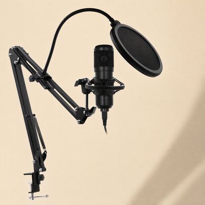 Micshine – Microphone in a shock mount on a boom arm with a pop filter on a gooseneck, desk clamp at the base