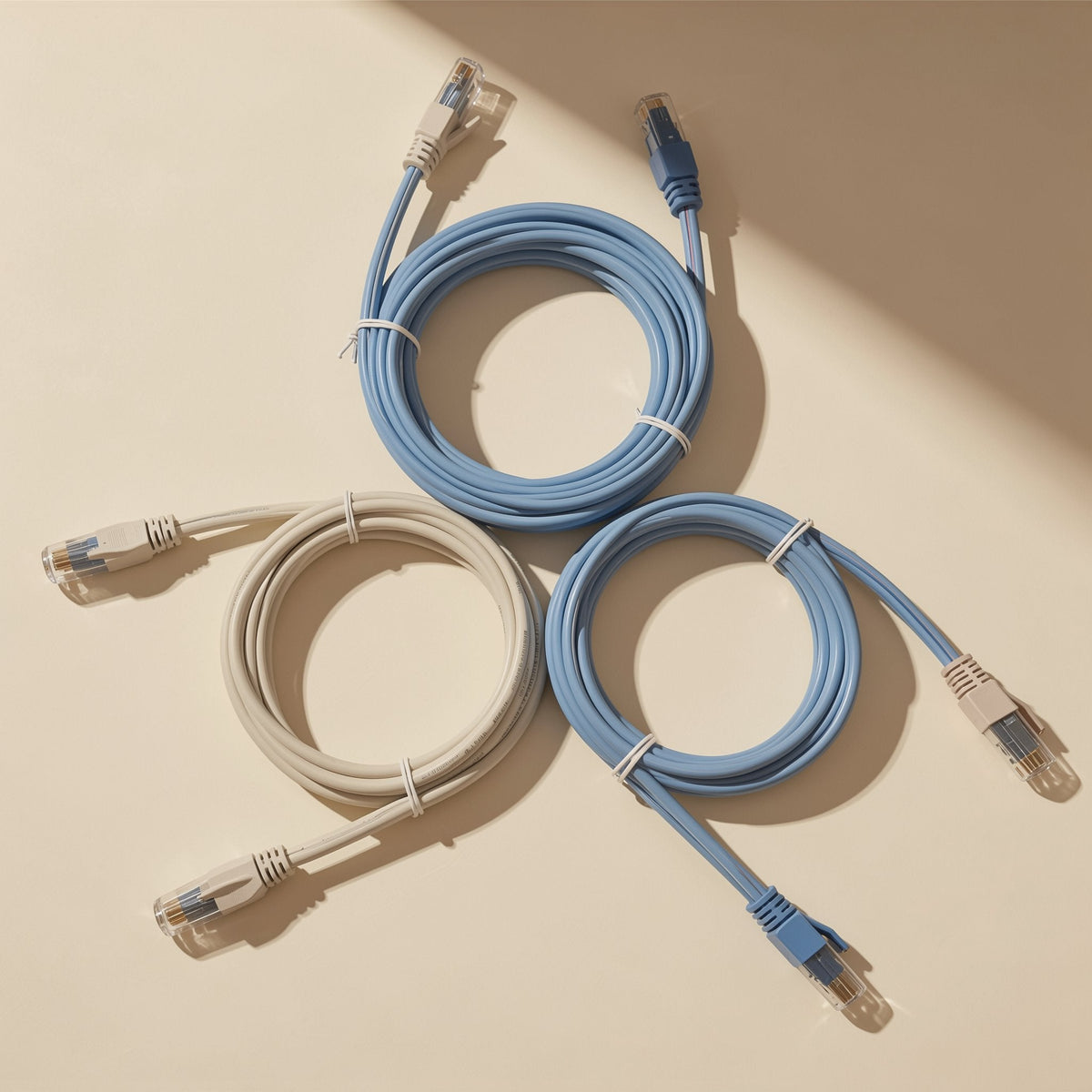 Signalweave Cat6 Gigabit Network Cable coiled in blue and beige loops on a cream surface in angled sunlight