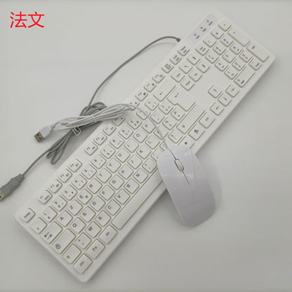 Deskcord – White wired keyboard and mouse with French key layout, gray and white USB cables coiled on the left
