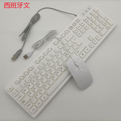 Deskcord – White wired keyboard and mouse with Spanish layout, ñ key visible, two USB connectors at lower left