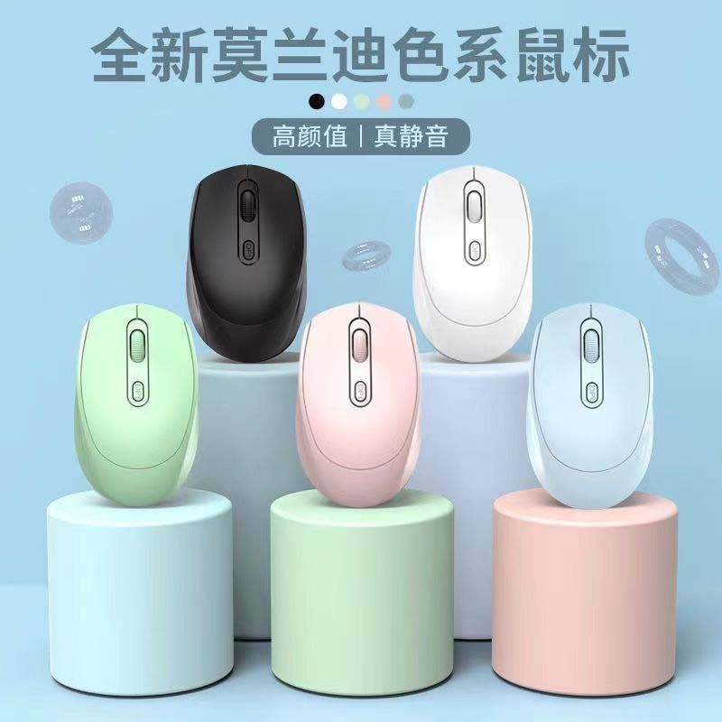 Quietgrip – Five wireless mice in black, white, mint, pink and light blue standing on pastel cylinders against blue