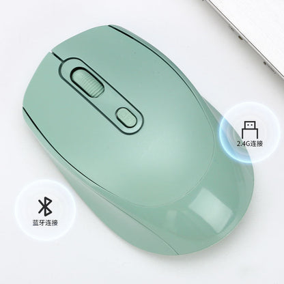 Mouselence – Top view of a mint green mouse with scroll wheel and DPI button, labelled for Bluetooth and 2.4G connection