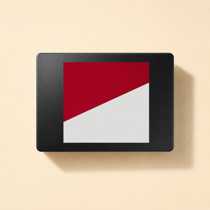 Satadrive 2.5-Inch SATA SSD – black metal-shell SSD with red and white label, top-down view on a cream background