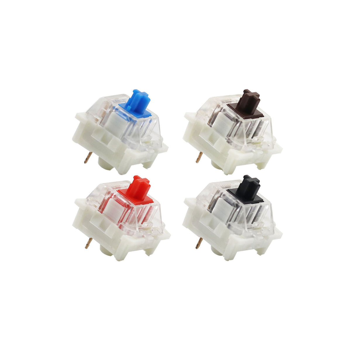 Keystroke – Four switches in blue, brown, red and black, each with clear housing and a visible metal pin, on white