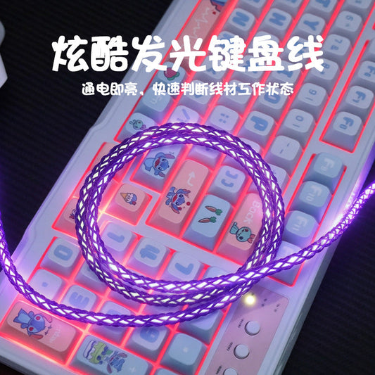 Litewire – Purple glowing braided cable coiled on a pastel keyboard with illustrated keycaps